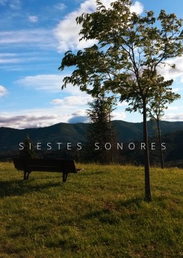 Siestes sonores - La Main et Palazzo © Noël Rasendrason (644 px)